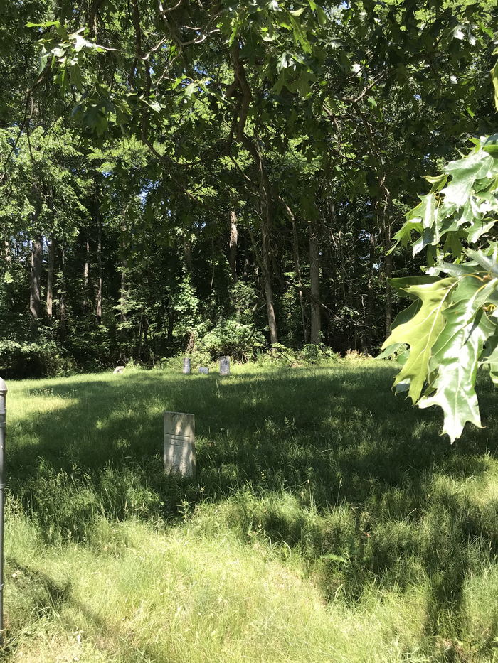 Clifton - July 5 2020 (newer photo)